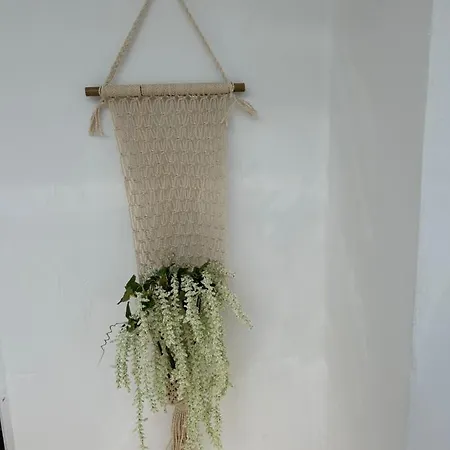 Zeusplace Akti Daire Platamon